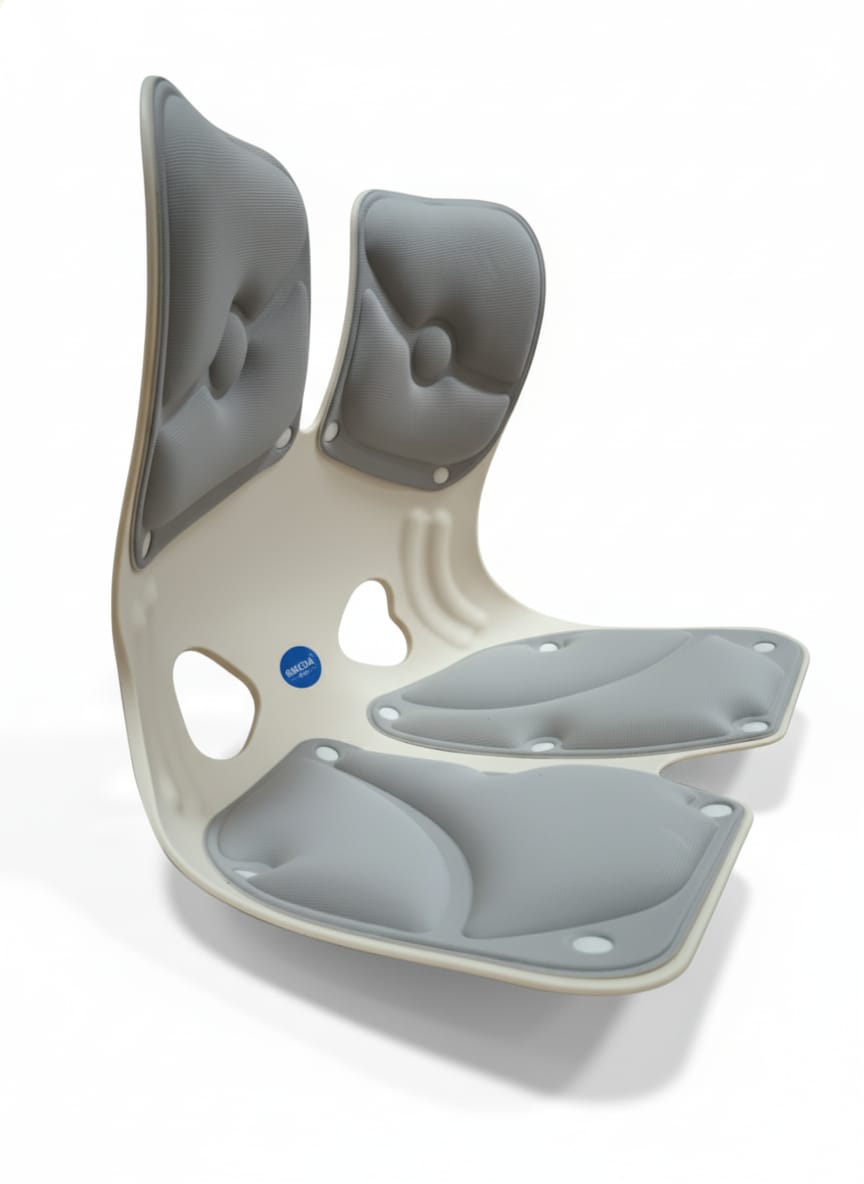 Support Lombaire Ergonomique Curble pour Voiture et Bureau